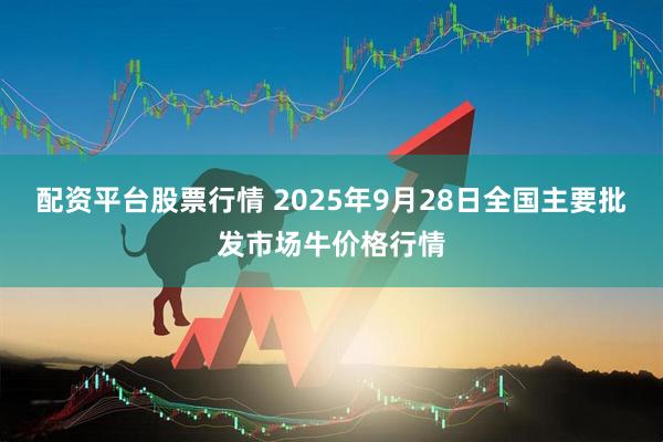 配资平台股票行情 2025年9月28日全国主要批发市场牛价格行情
