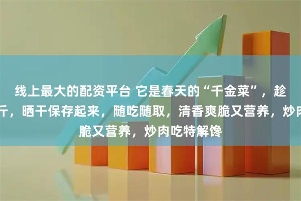 线上最大的配资平台 它是春天的“千金菜”,趁便宜买20斤,晒干保存起来,随吃随取,清香爽脆又营养,炒肉吃特解馋